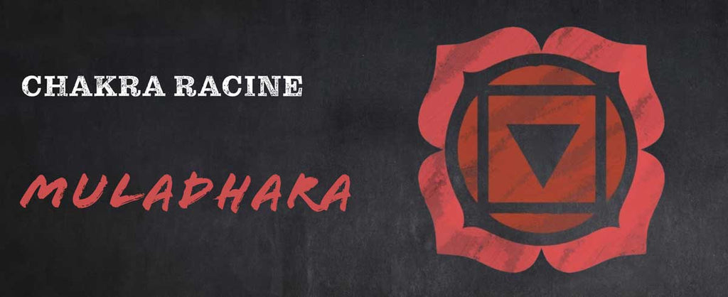 Chakra racine (Muladhara)